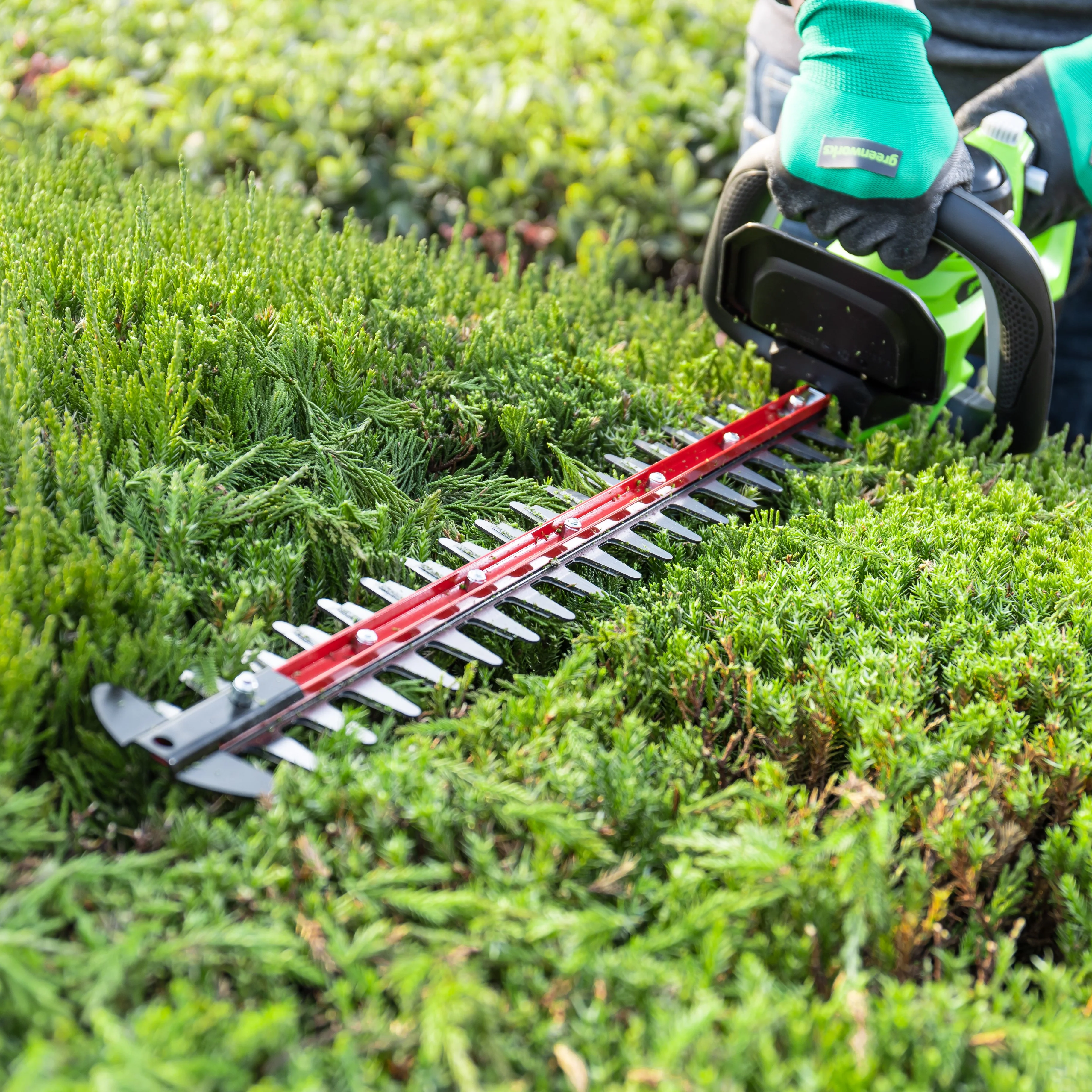 POWERALL 24V Hedge Trimmer 61cm - 2Ah Battery - Image 7