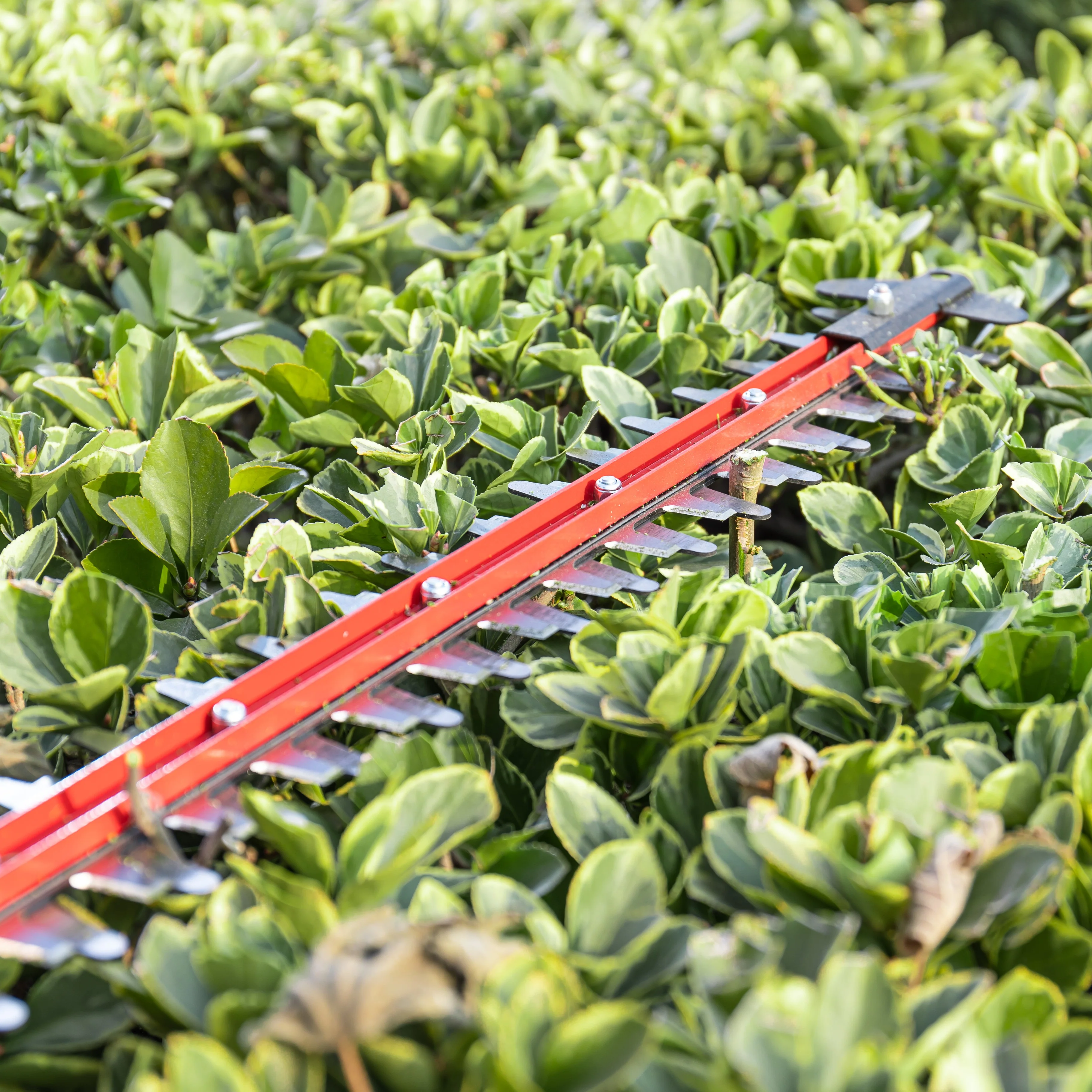 POWERALL 24V Hedge Trimmer 61cm - tool only - Image 4