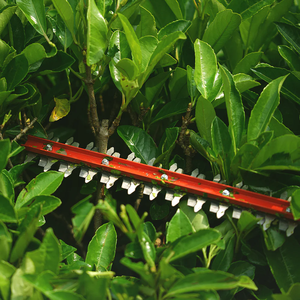 40V Hedge Trimmer 61cm - 2Ah Battery - Image 9